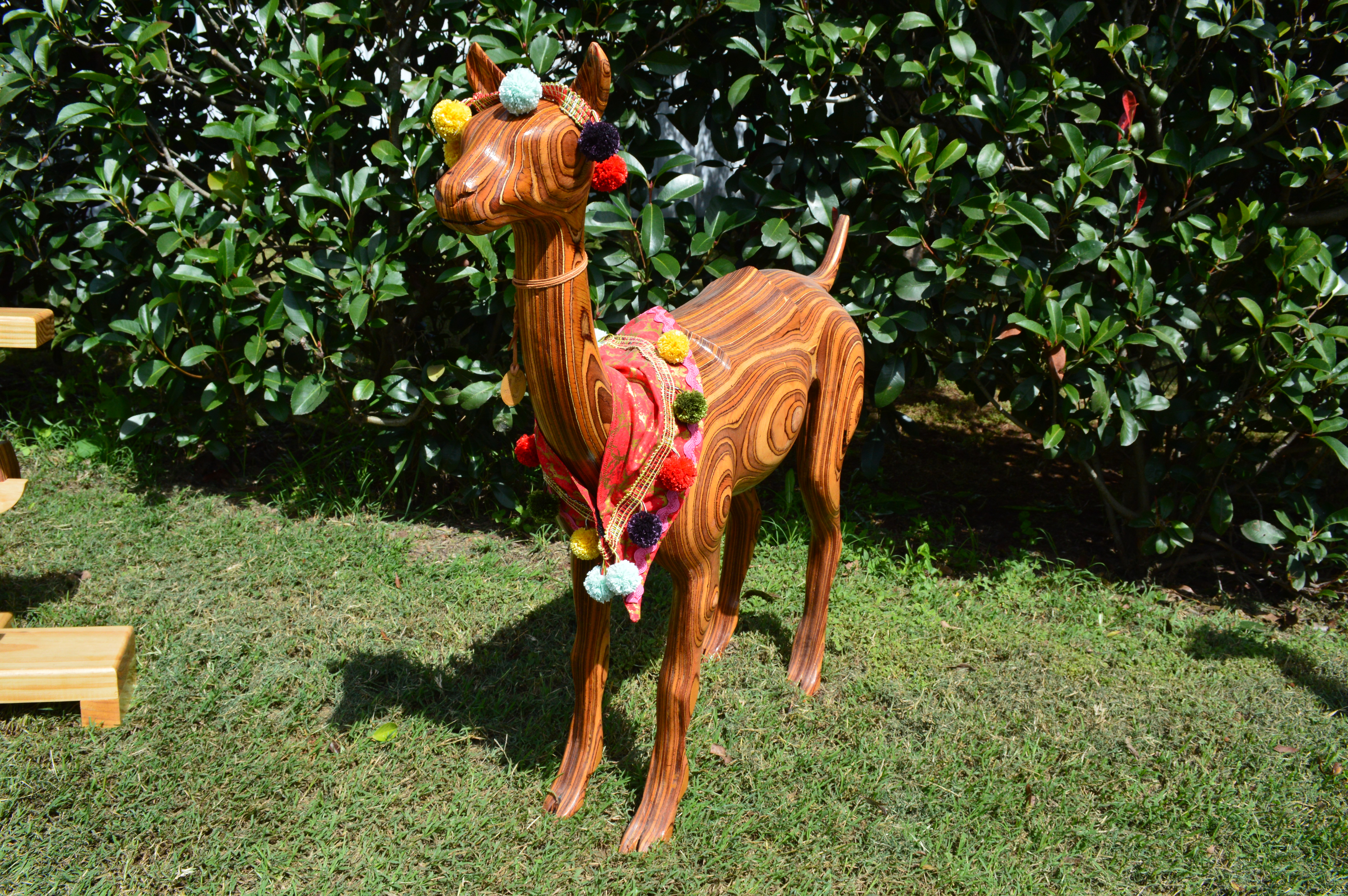 "Paka" the Alpaca
