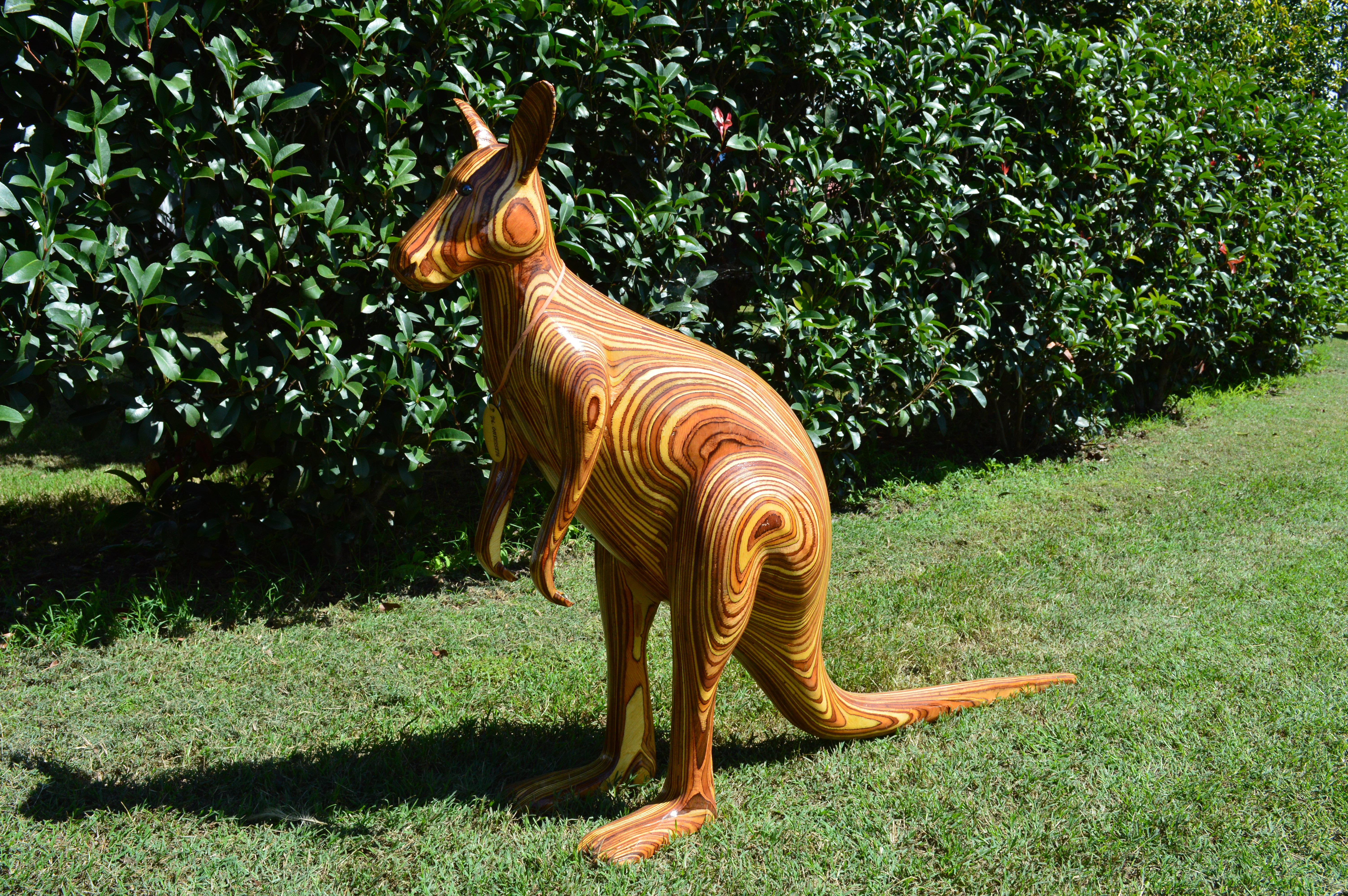 "Kanga" the Kangaroo
